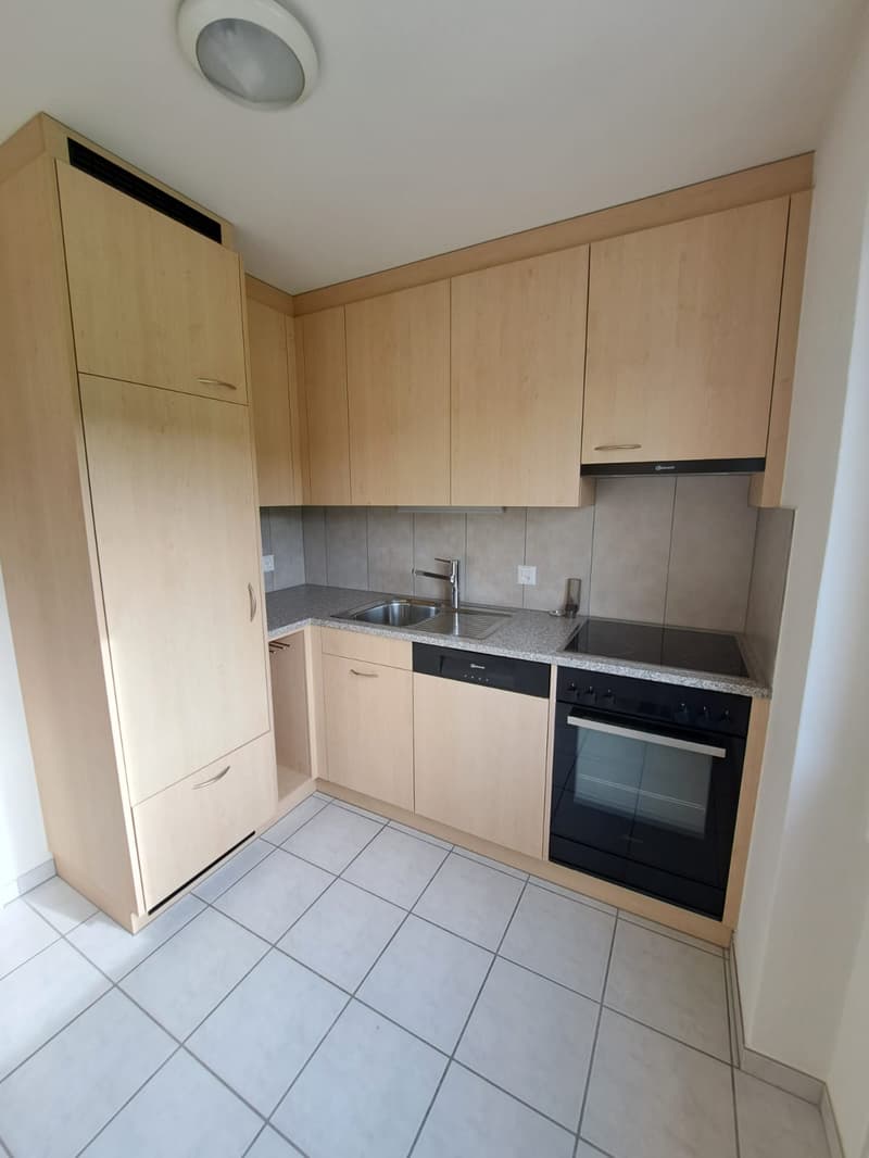 Appartement 3 pièces lumineux avec balcon et vue panoramique à Pieterlen (5)