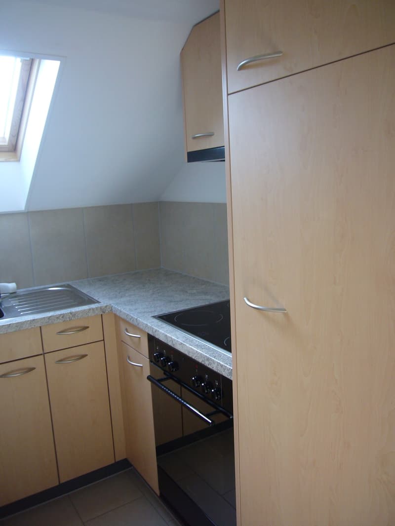Gemütliche 1- Zimmer-Dachwohnung in Wangen an der Aare (6)