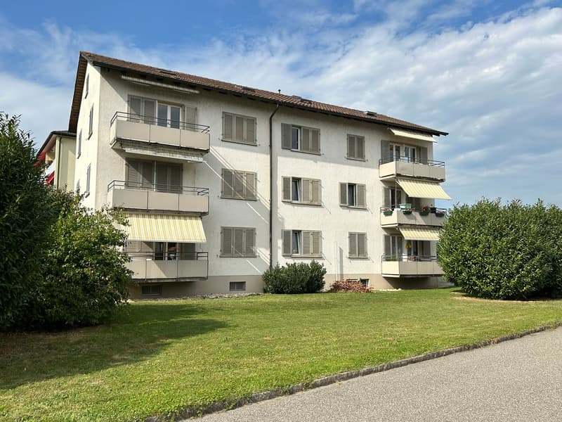 Helle 3-Zimmer-Wohnung mit Balkon in Däniken SO (2)