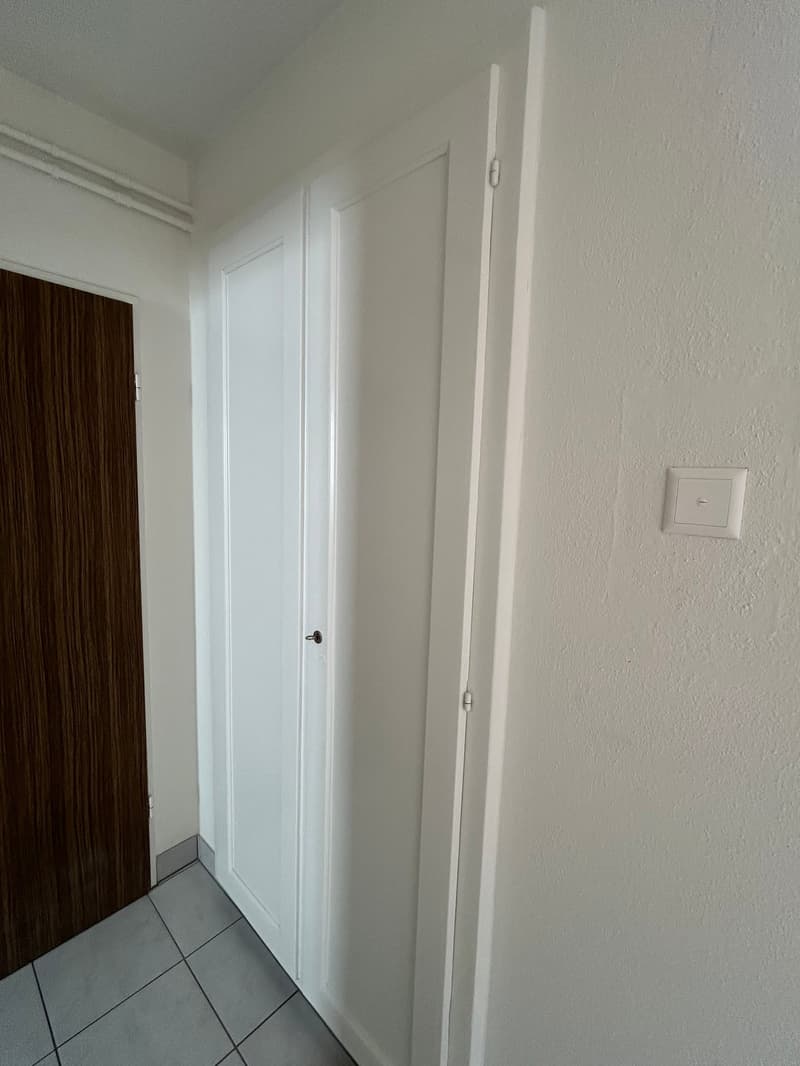 Helle 3-Zimmer-Wohnung mit Balkon in Däniken SO (19)