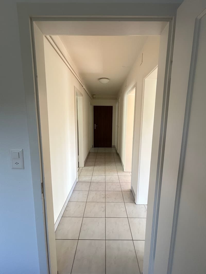 Helle 3-Zimmer-Wohnung mit Balkon in Däniken SO (18)