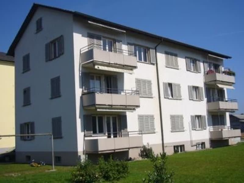 Helle 3-Zimmer-Wohnung mit Balkon in Däniken SO (1)