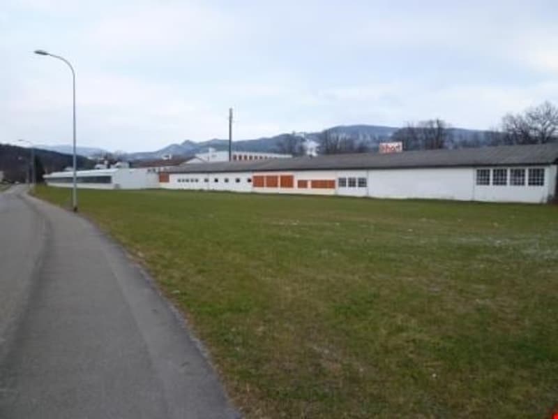 Container- Lagerfläche zu vermieten in Dulliken (2)