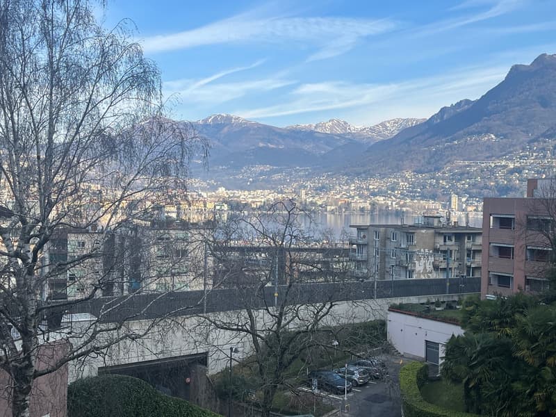 Lugano- Appartamento di vacanza di 4.5 locali ristrutturato in zona stazione ferroviaria. (17)