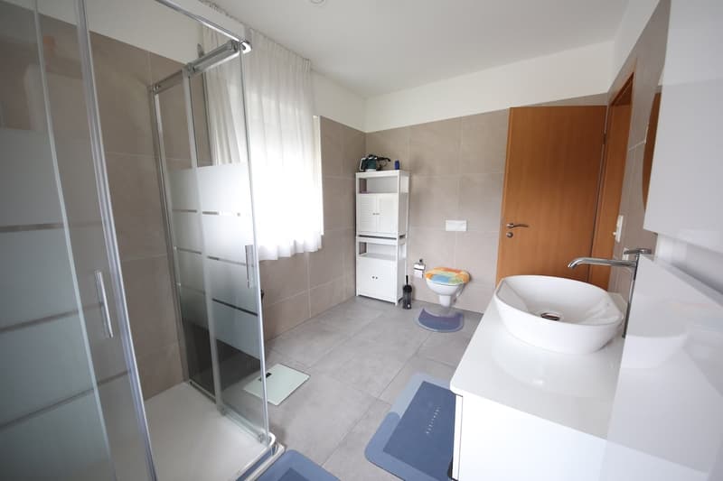 modern bathroom with white sink, large shower, wooden floor, white toilet, wooden door, rug, white shelves