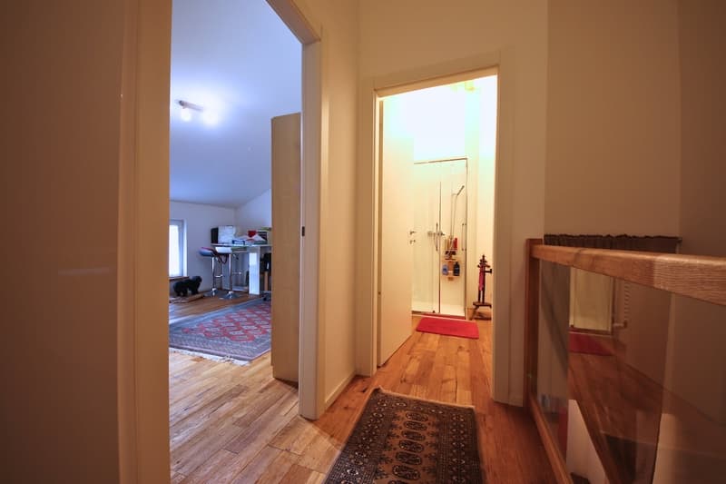 Haus mit 5.5 Zimmern in Bellinzona, sehr charmant (7)