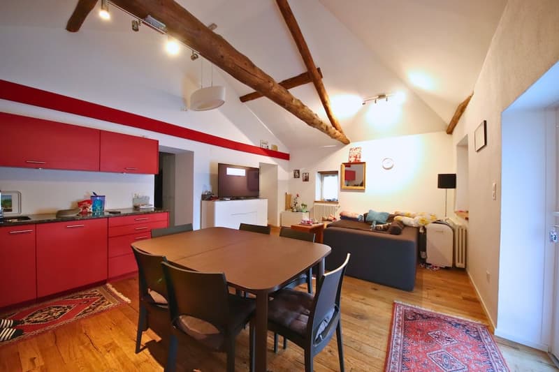 Haus mit 5.5 Zimmern in Bellinzona, sehr charmant (3)