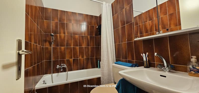 Bathroom: bathtub, toilet, sink, mirror, shower, towel, toiletries