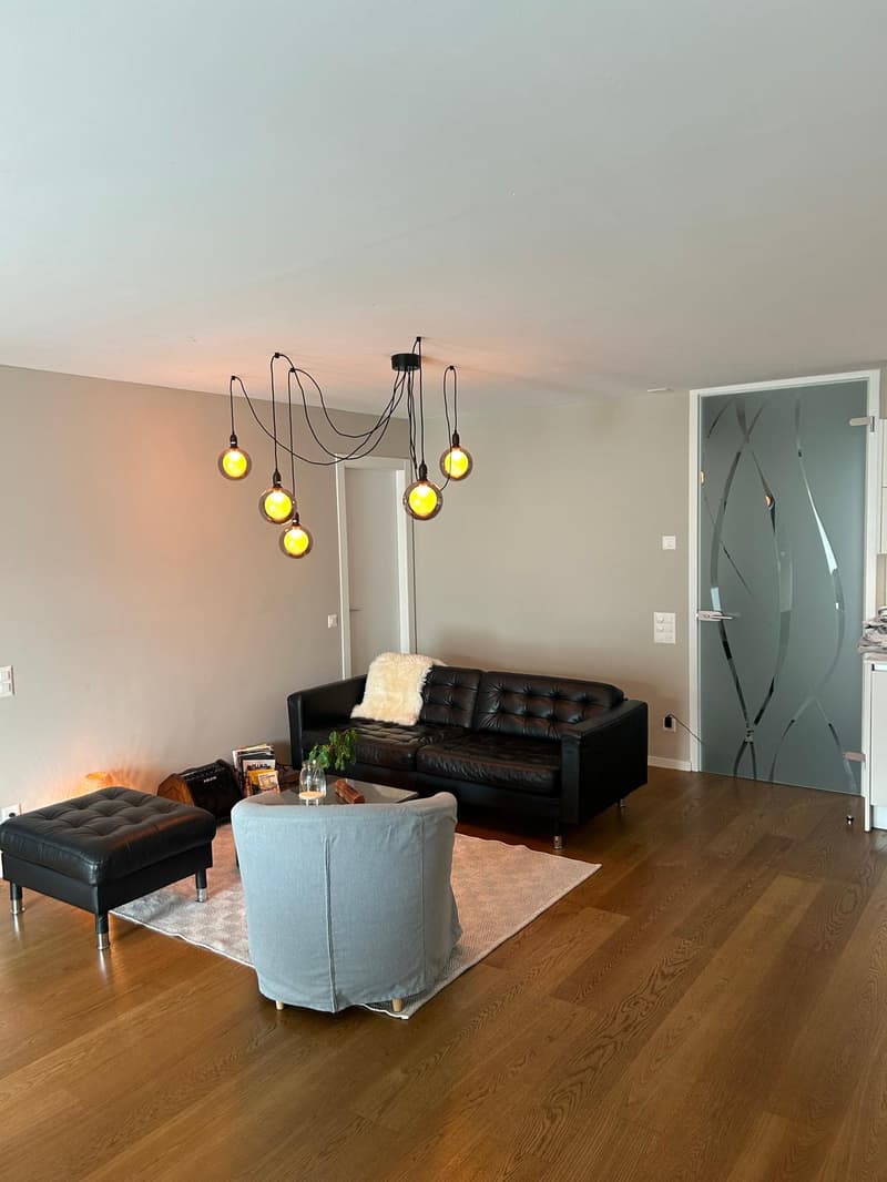 Somptueux appartement 5.5 pièces à Cadempino avec vue panoramique (5)