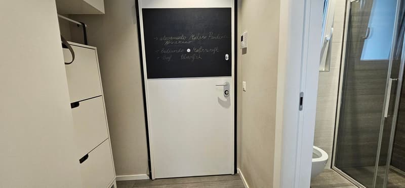 Somptueux appartement 5.5 pièces à Cadempino avec vue panoramique (4)