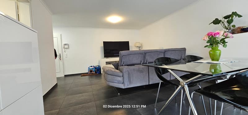 modern living room with dark gray sofa, flat screen TV, white shelves, glass dining table, dark chairs