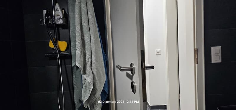 Bathroom door with hanging towels, soap dispenser, shower head on stand, and tiled wall.