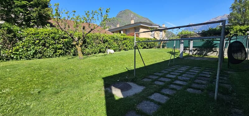 Green lawn, hedges, trees, playground equipment, mountains in the background