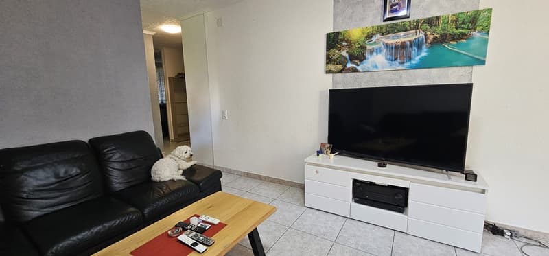Living room with black leather couch, wooden coffee table, flat screen TV, and a white dog
