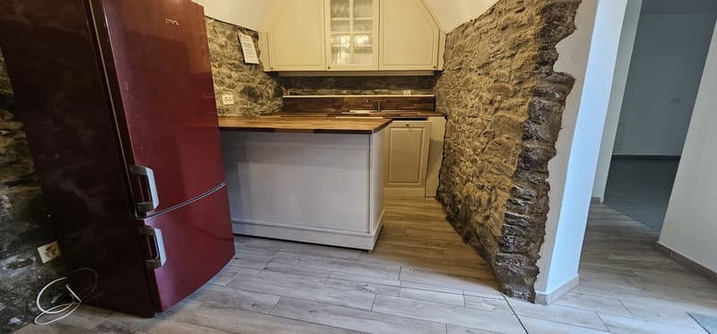 Faszinierende 3.5-Zimmer-Wohnung in Monteceneri (3)