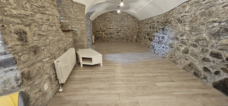 Faszinierende 3.5-Zimmer-Wohnung in Monteceneri (4)