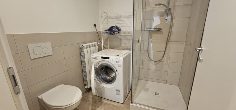 Faszinierende 3.5-Zimmer-Wohnung in Monteceneri (6)