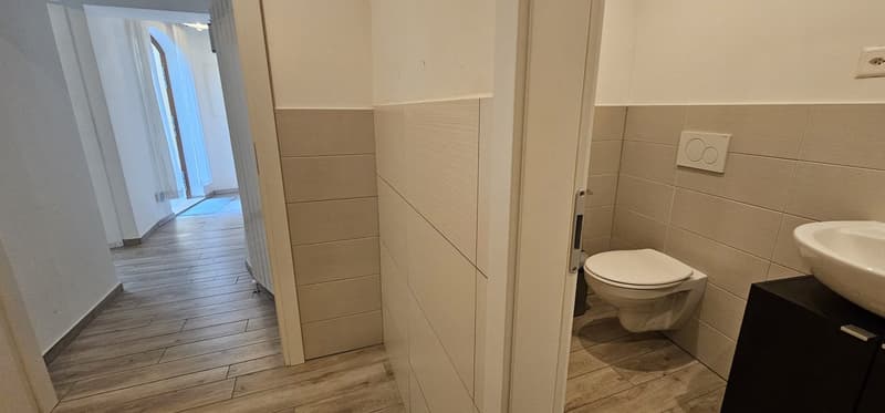 Faszinierende 3.5-Zimmer-Wohnung in Monteceneri (8)