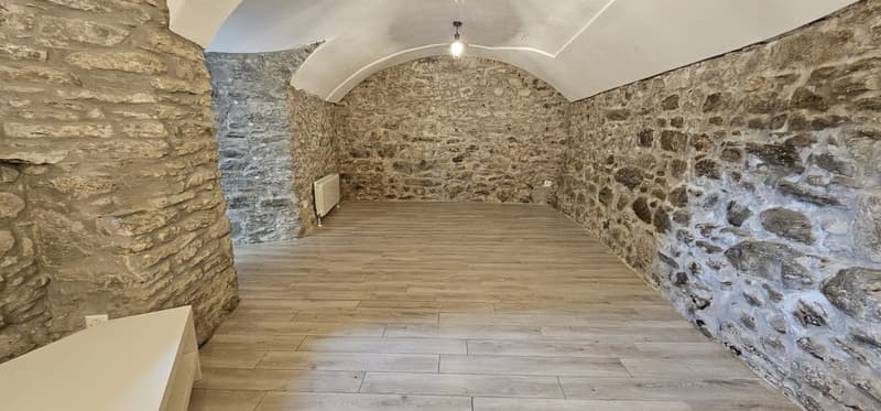 Faszinierende 3.5-Zimmer-Wohnung in Monteceneri (2)