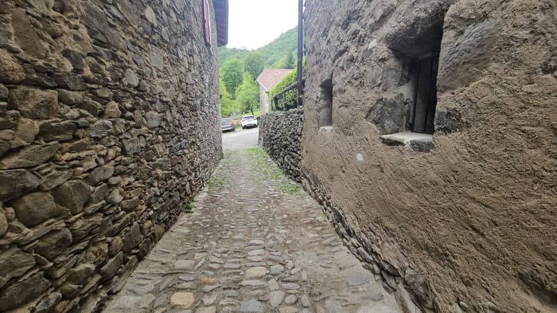 Faszinierende 3.5-Zimmer-Wohnung in Monteceneri (9)