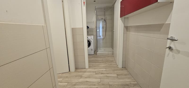 Faszinierende 3.5-Zimmer-Wohnung in Monteceneri (7)