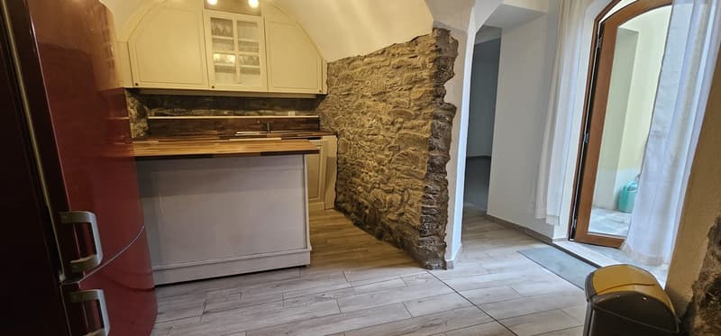 Faszinierende 3.5-Zimmer-Wohnung in Monteceneri (1)