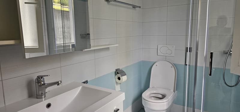 Helles 3-Zimmer-Apartment mit Garten in Bellinzona – sofort verfügbar (14)