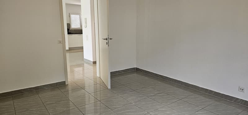 Helles 3-Zimmer-Apartment mit Garten in Bellinzona – sofort verfügbar (13)
