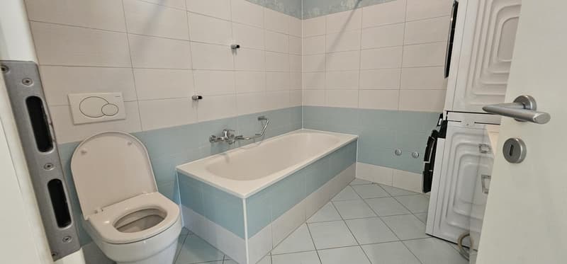 Helles 3-Zimmer-Apartment mit Garten in Bellinzona – sofort verfügbar (15)