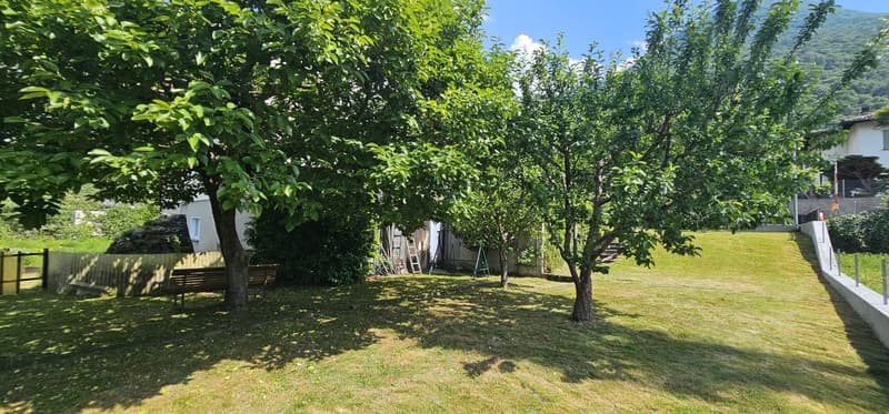 Maison unifamiliale charmante à deux étages à Arbedo-Castione – disponible immédiatement (11)