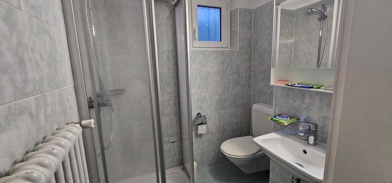 Charming single-family house in Bedano – 4 rooms with garage and balcony (7)
