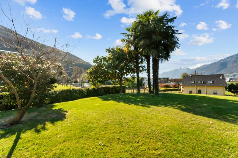 Splendide villa de 6 pièces avec piscine à S. Antonino (5)