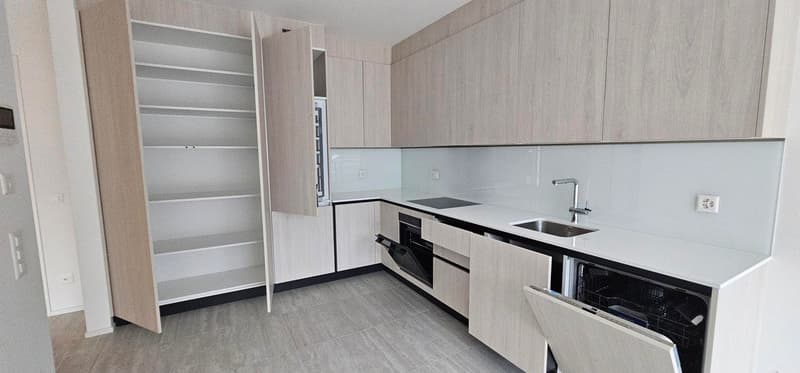 Moderno appartamento 2.5 locali con vista panoramica a Lugano (5)