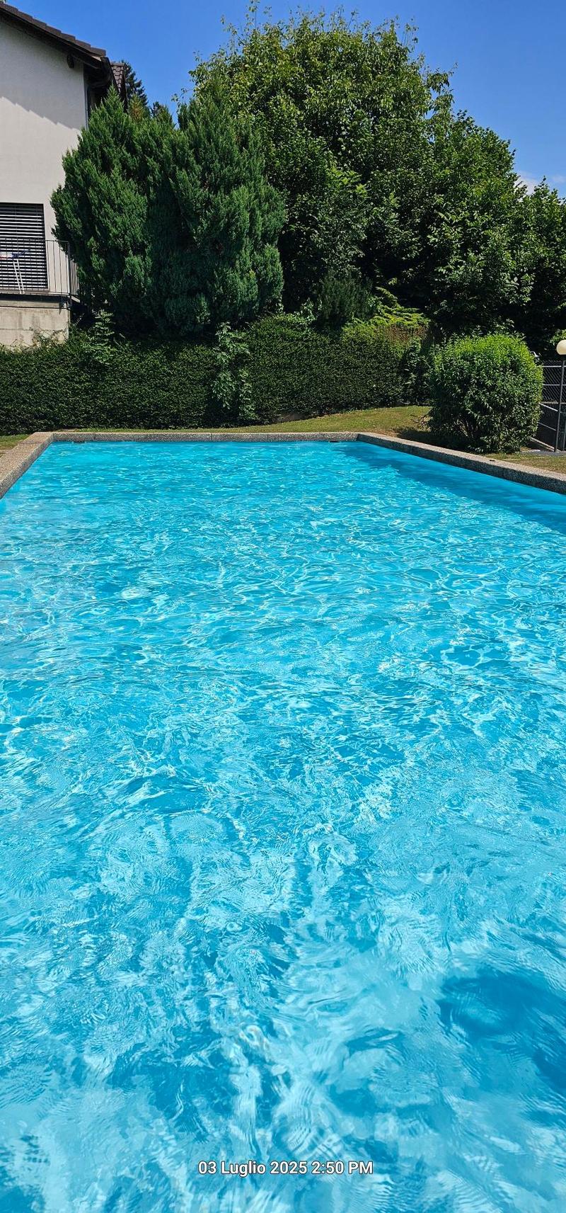 Accogliente appartamento di 3.5 locali a Cademario con piscina e vista panoramica (3)