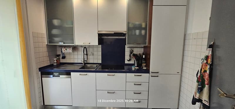 Elegante appartamento 5.5 locali con grandi spazi e zona tranquilla. (5)