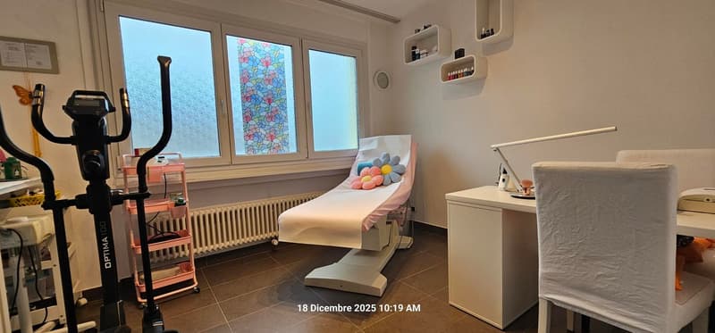 Elegante appartamento 5.5 locali con grandi spazi e zona tranquilla. (8)