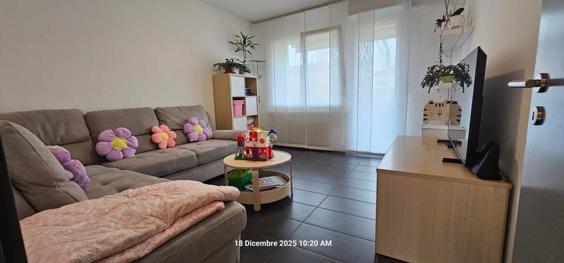 Elegante appartamento 5.5 locali con grandi spazi e zona tranquilla. (10)