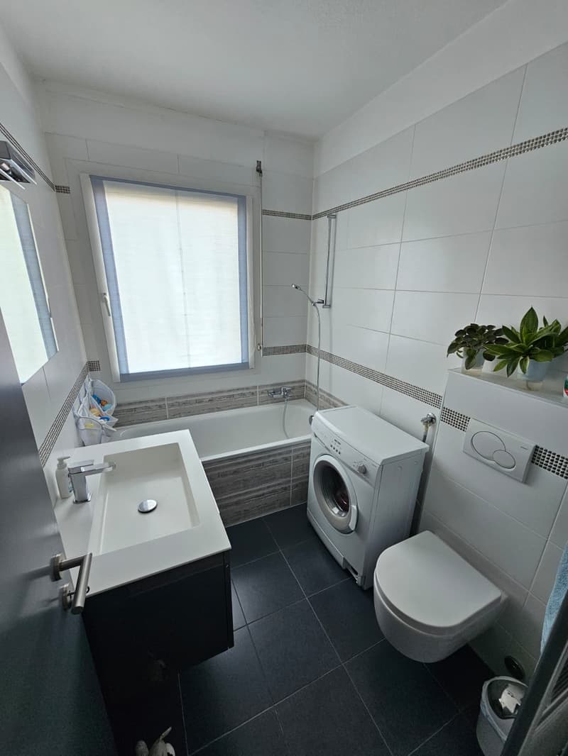 Elegante appartamento 5.5 locali con grandi spazi e zona tranquilla. (12)