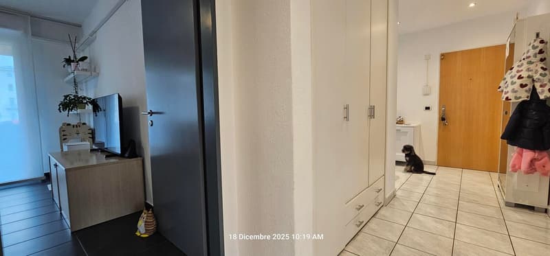Elegante appartamento 5.5 locali con grandi spazi e zona tranquilla. (6)
