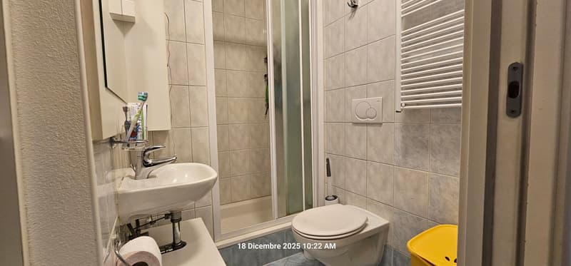 Elegante appartamento 5.5 locali con grandi spazi e zona tranquilla. (14)