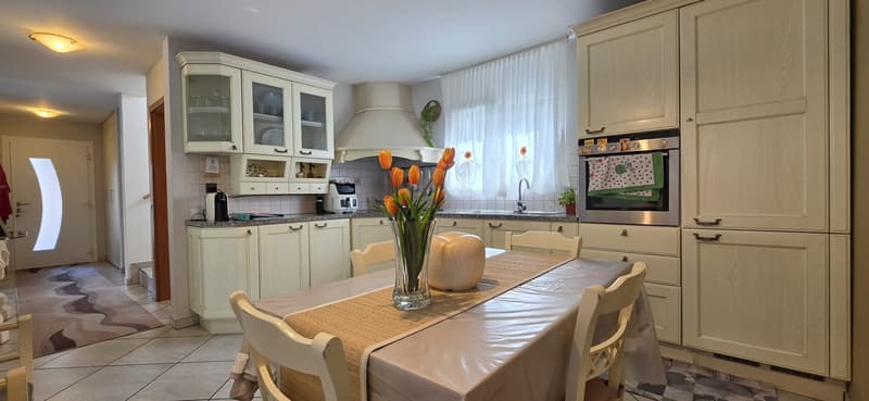Elegante abitazione con ampio giardino, garage e caratteristico grottino (4)
