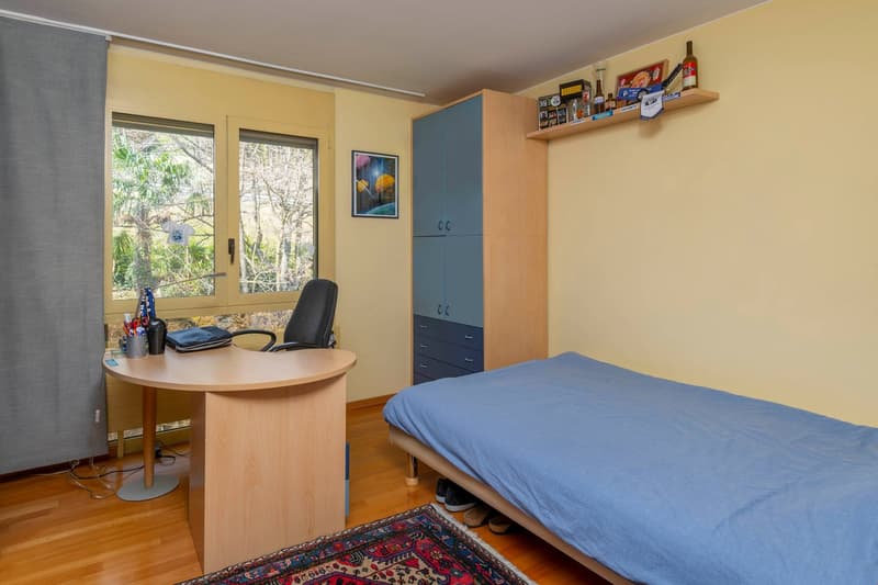 Lakeview attic for sale (7)