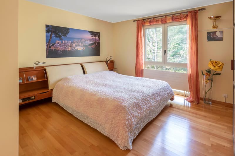 Lakeview attic for sale (6)