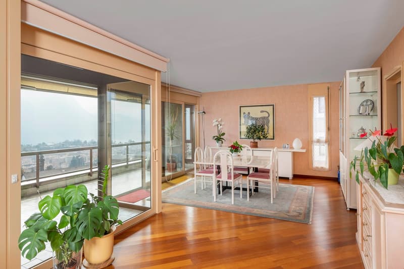 Lakeview attic for sale (3)
