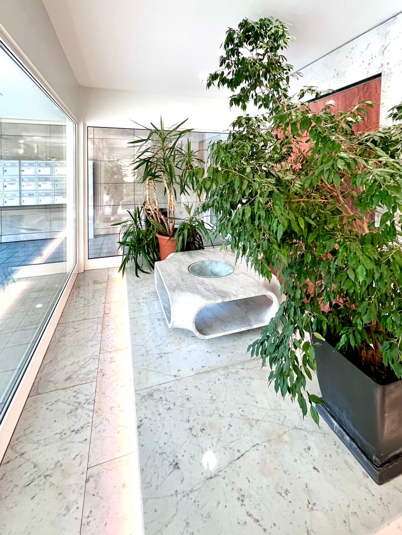 Appartement élégant de 3.5 pièces avec vue panoramique à Lugano (11)