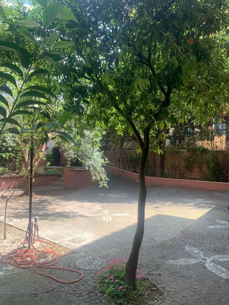 Villa de luxe rénovée avec jardin au cœur de Rome (8)