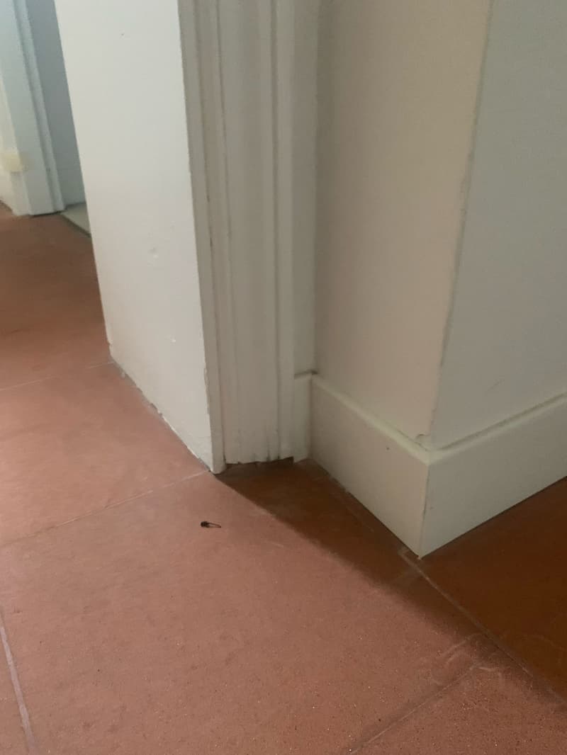 Villa de luxe rénovée avec jardin au cœur de Rome (22)