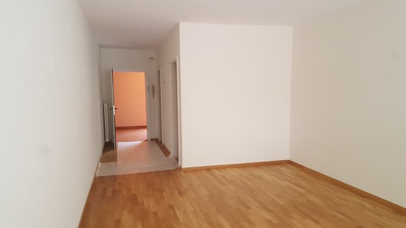 hardwood floor, white walls, hallway with open doors, hallway leading to another room