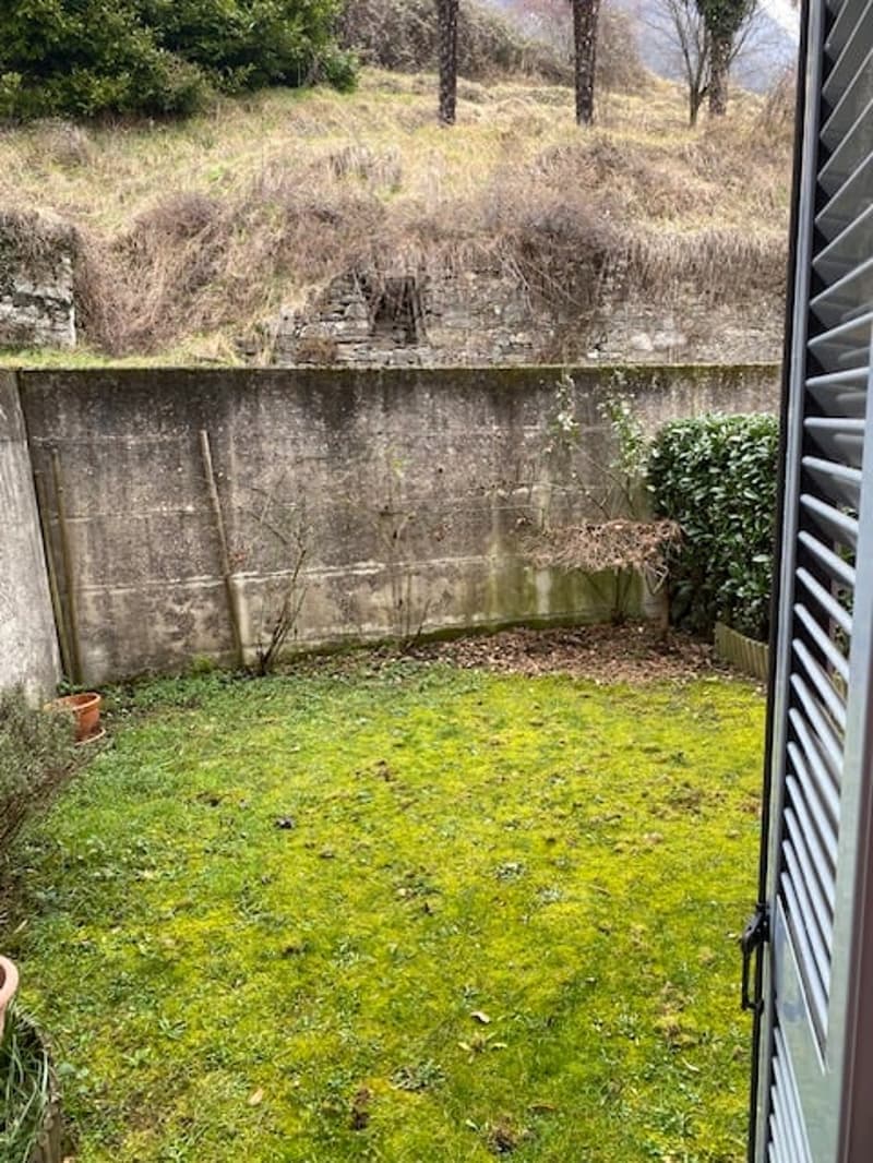 small garden with concrete wall, grass, and plants