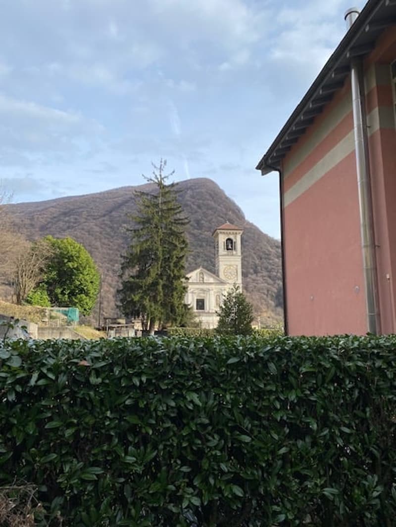 Bushes in foreground, a house on the right, and a church in the background